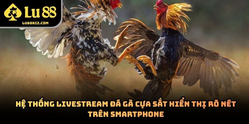 Đá Gà Cựa Sắt – Hình Thức Giải Trí Trực Tuyến